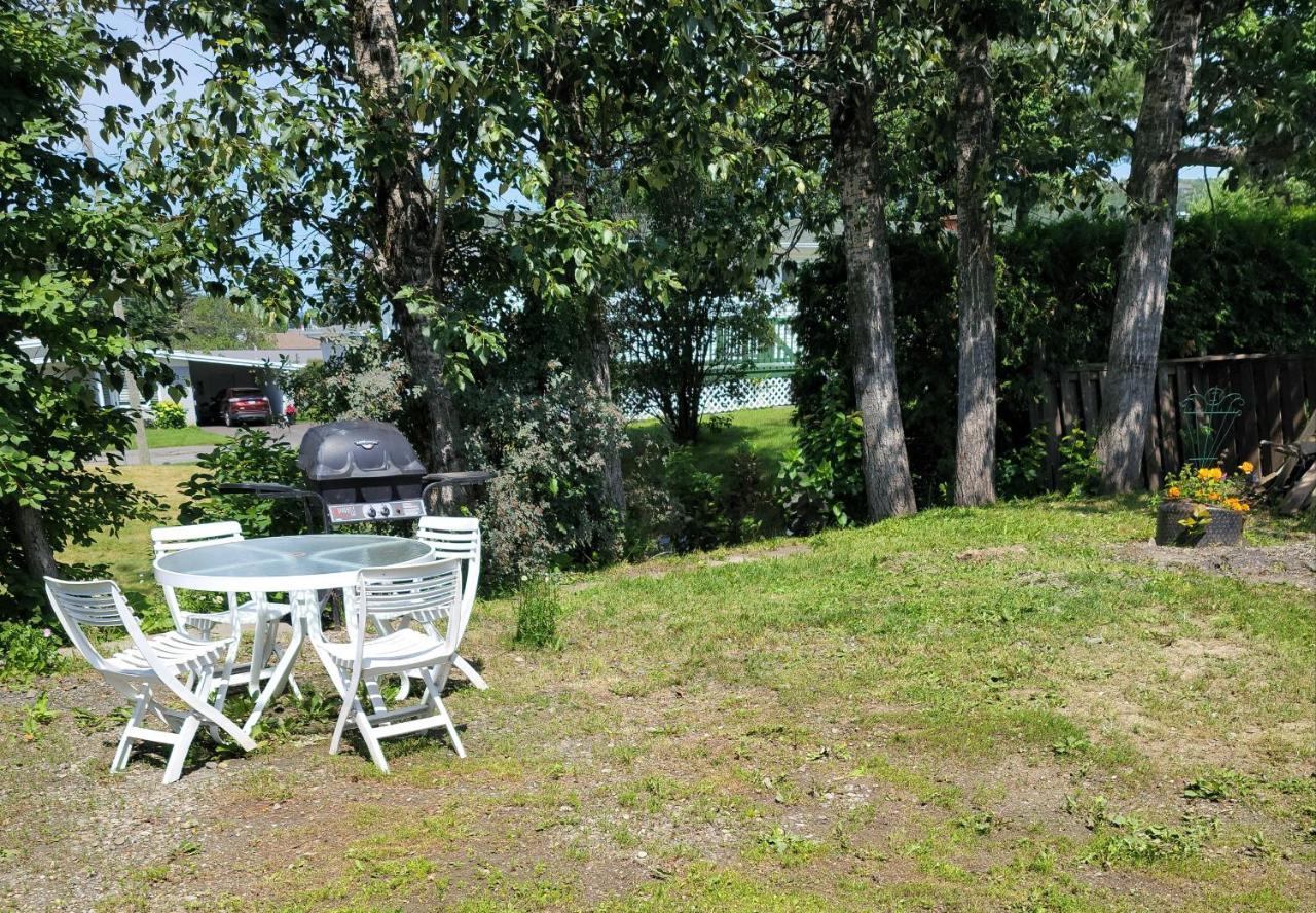 Quiet Cozy Apartment Next To Highway Wifi+Netflix Эдмундстон Экстерьер фото